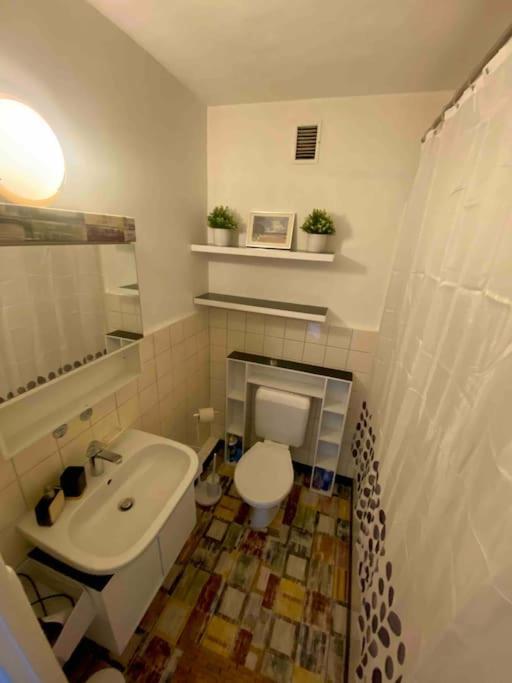 Central & Relaxed Apartment เจนีวา ภายนอก รูปภาพ